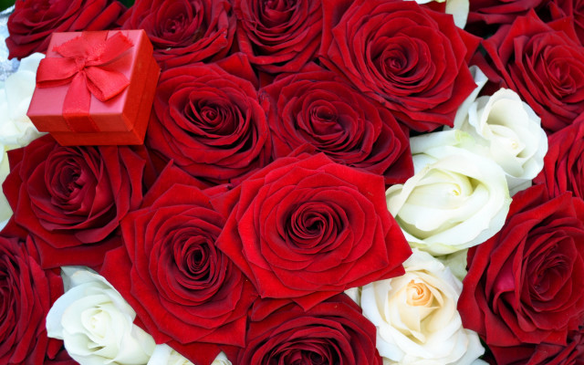Red roses bouquet romanticism blood free wallpaper - medium preview image
