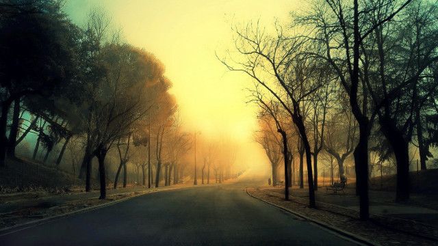 Road trees yellow sky sunset #2 free wallpaper - medium preview image