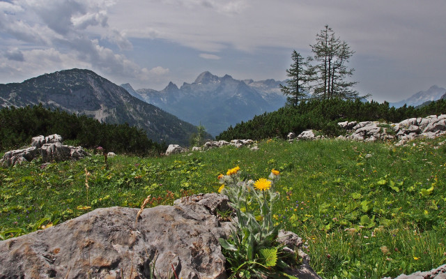 Field rock flowers mountains clouds free wallpaper - medium preview image
