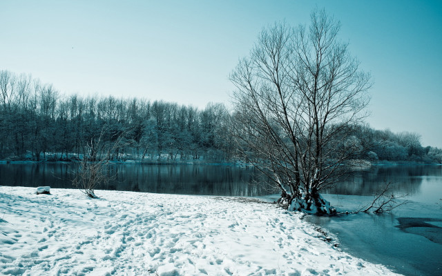 Snowy tree lake winter mountain free wallpaper - medium preview image