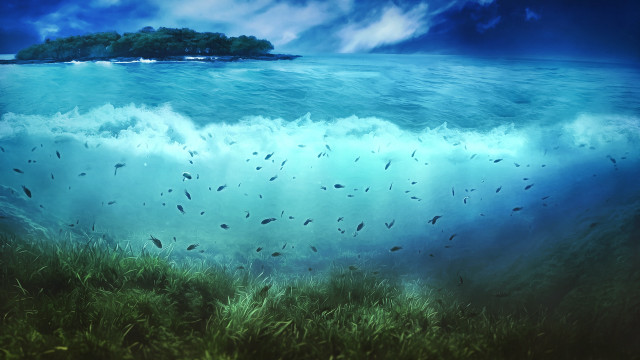 Fish ocean island beach sky free wallpaper - medium preview image