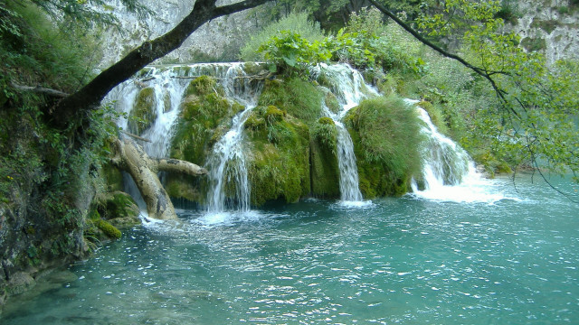 Waterfall tree forest nature river free wallpaper - medium preview image