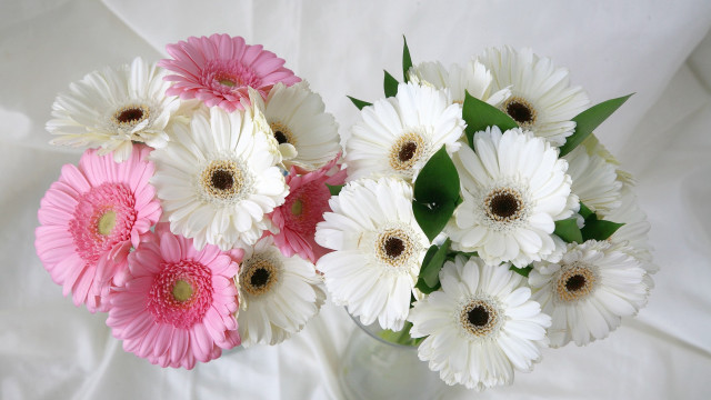White flower vase orphism bouquet free wallpaper - medium preview image