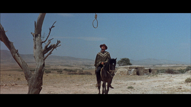 Man riding horse desert rope free wallpaper - medium preview image