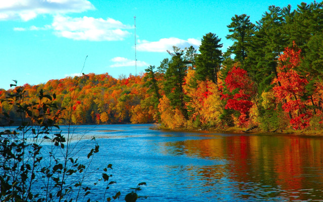 Autumn lake trees clouds fall free wallpaper - medium preview image