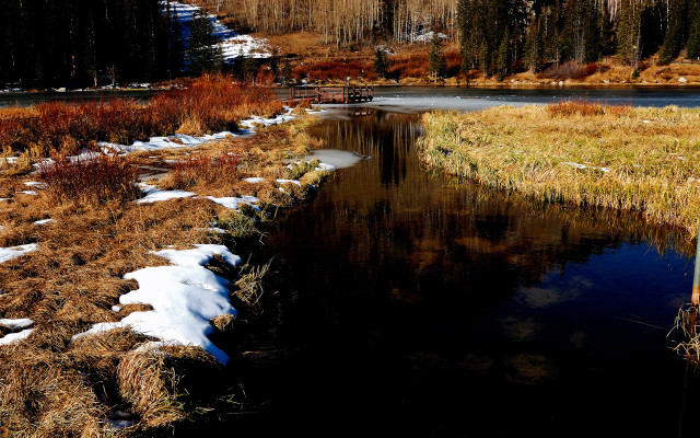 Small stream snowy field forest free wallpaper - medium preview image