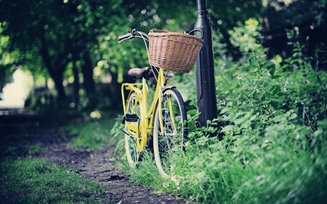Yellow bicycle forest ecological art free wallpaper - medium preview image