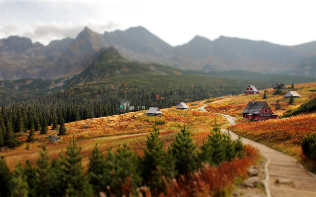 Mountain cabin forest tiltshift blurry free wallpaper - medium preview image