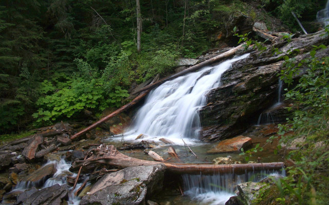 Waterfall forest rocks branch nature free wallpaper - medium preview image