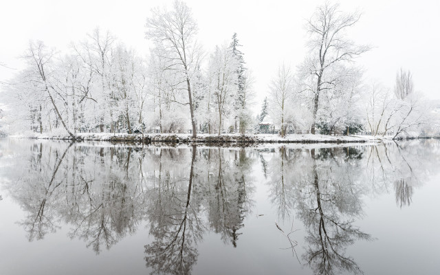 Winter snow forest lake houses free wallpaper - medium preview image