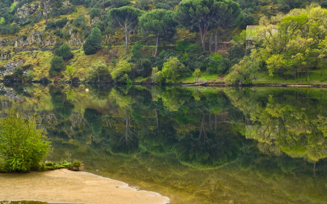 Lake bridge bench trees hillside free wallpaper - medium preview image
