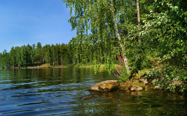 Lake tree rocks blue sky free wallpaper - medium preview image