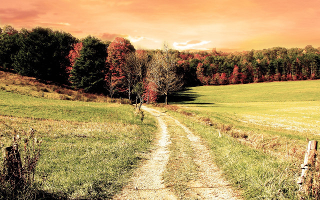 Dirt road autumn sunset foliage free wallpaper - medium preview image