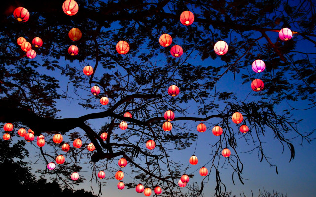 Glowing lanterns autumn night magic free wallpaper - medium preview image