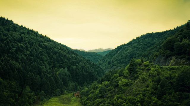 Train forest hillside valley nature free wallpaper - medium preview image