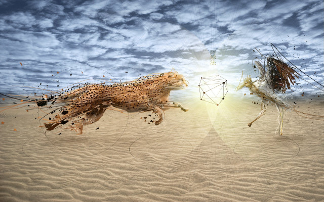 Sandy field animals sky sunset free wallpaper - medium preview image