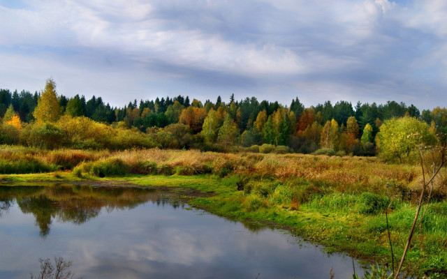River forest autumn cloudy sky free wallpaper - medium preview image