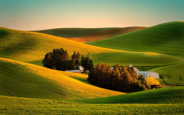 Green field house trees sunset free wallpaper - medium preview image