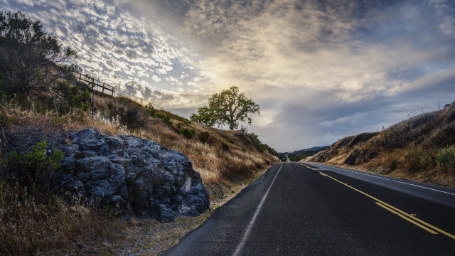 Road tree fence lake mountain free wallpaper - medium preview image