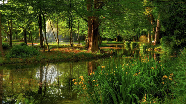 Pond trees grass fountain park free wallpaper - medium preview image