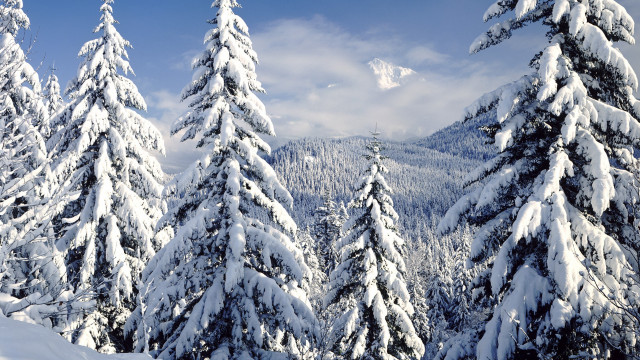Snowy mountain trees blue sky #18 free wallpaper - medium preview image
