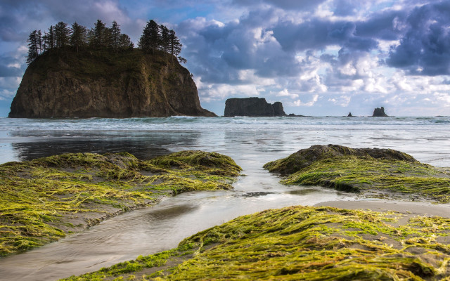 Rocky beach moss outcropping lake free wallpaper - medium preview image