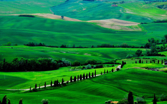 Green landscape hills trees house #2 free wallpaper - medium preview image