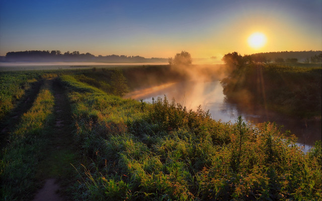 Foggy sunset river trees mountains free wallpaper - medium preview image