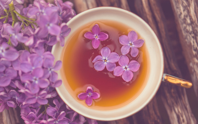 Tea flowers lotus daisy hydrangea free wallpaper - medium preview image