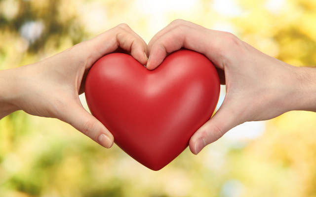 Two hands holding red heart free wallpaper - medium preview image