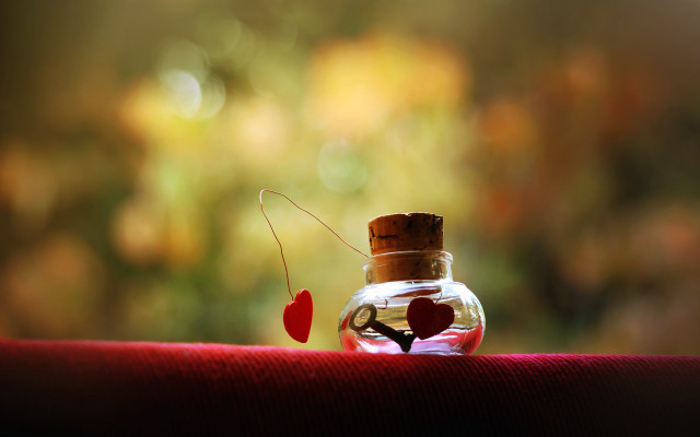 Heart bottle microscopic romantic bokeh free wallpaper - medium preview image