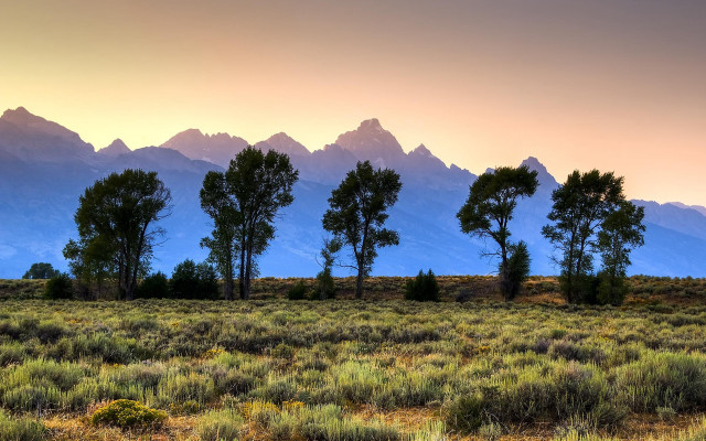 Sunset mountains trees lake forest free wallpaper - medium preview image