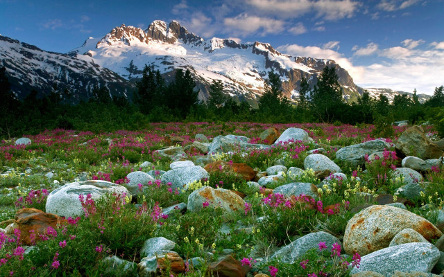 Flower field mountain sky river free wallpaper - medium preview image