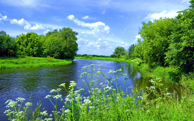 River forest sunny day impressionist free wallpaper - medium preview image