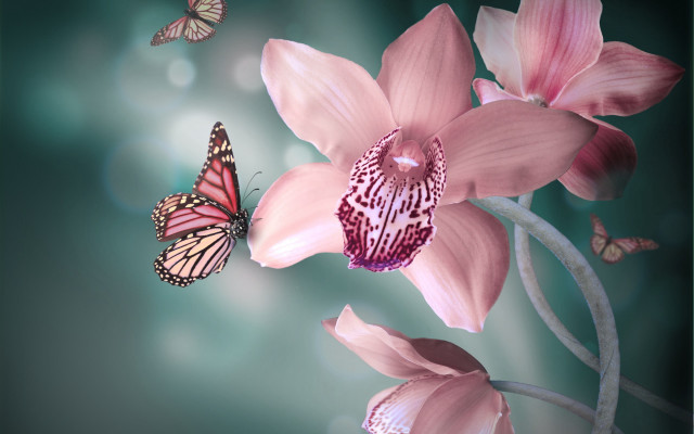 Pink flower butterflies digital painting free wallpaper - medium preview image