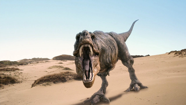 Dinosaur sand dunes blue sky free wallpaper - medium preview image