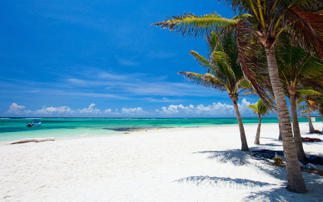 Beach palm trees boat blue free wallpaper - medium preview image