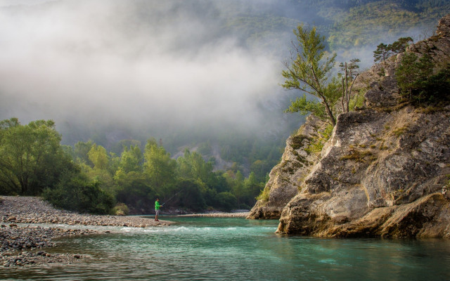 River bank forest rocks green free wallpaper - medium preview image