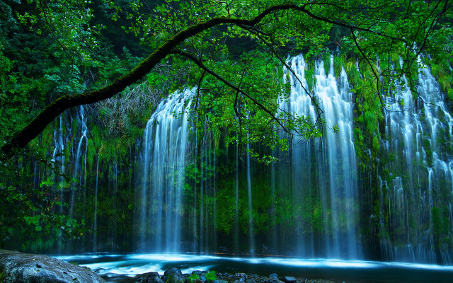 Waterfall tree river forest nature free wallpaper - medium preview image