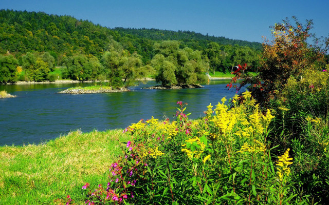 Hudson river flowers forest summer free wallpaper - medium preview image