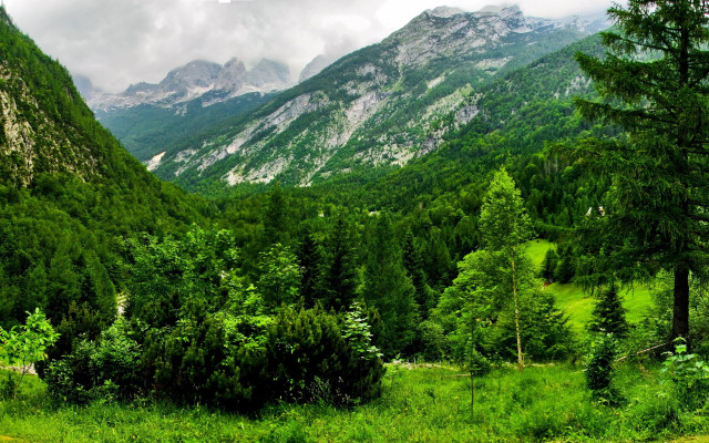 Mountain range forest road cloudy free wallpaper - medium preview image