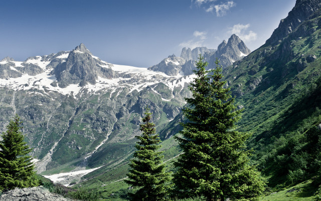 Mountain range snow peak forest free wallpaper - medium preview image