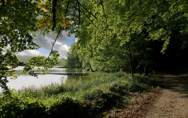 Lake path bridge trees nature free wallpaper - medium preview image