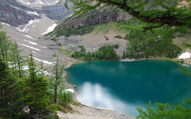 Lake mountains trees snow nature free wallpaper - medium preview image