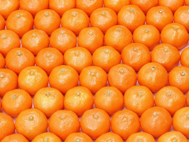 Oranges pile illusion halloween pumpkin free wallpaper - medium preview image