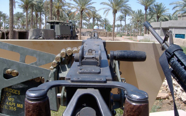 Desert wall mounted machinegun palm free wallpaper - medium preview image