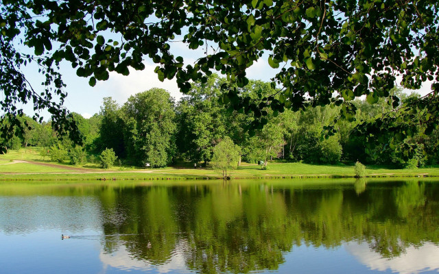 Lake trees park bench plein free wallpaper - medium preview image