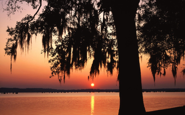 Sunset lake tree bridge boats free wallpaper - medium preview image