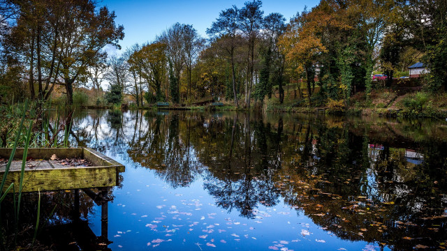 Small boat water dock leaves free wallpaper - medium preview image