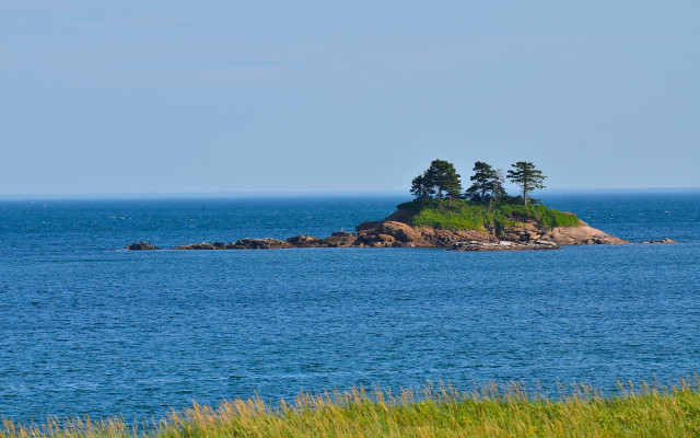 Small island trees ocean blue #3 free wallpaper - medium preview image